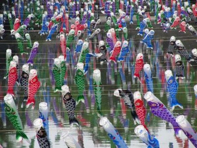 子供の日は過ぎたけど 世界一のこいのぼりの里へ行ってきました 館林 群馬県 の旅行記 ブログ By まみさん フォートラベル