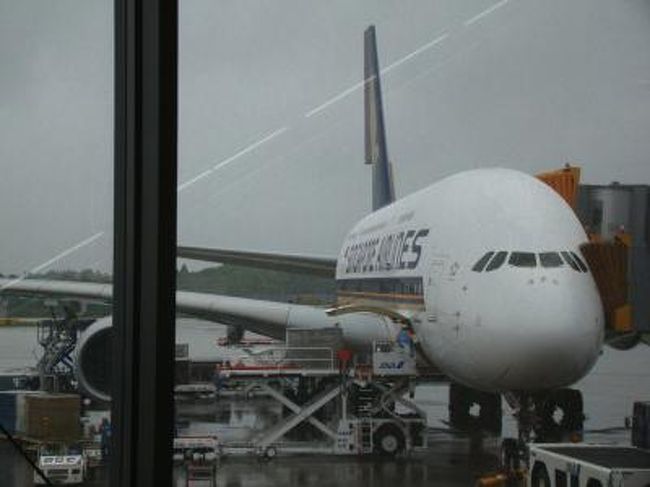 今年のGWでは、7年ぶりにタスマニアを歩くことにしました。<br /><br />ヨーロッパにも魅力があったのですが、お手頃な航空券が見つからなかったこと、そして何よりも、お抱えカメラマンの「A380に乗りた～い」願望が強くなってしまったことから、シンガポール航空を利用し、シンガポール経由でのオーストラリア入りにしました。<br /><br />シドニー入りにすれば、シンガポールからもA380だったのですが、オーストラリア国内線では、カンタス航空で貯めたマイレージを利用するため、そのマイル数から、タスマニアへの距離が短いメルボルン入りを選択せざるを得ませんでした。<br />これがちょっと残念ね。<br /><br />ま、でも、成田からシンガポールまでの約7時間、昼間のフライトだったこともあり、思う存分A380を楽しむことができました(^O^)／