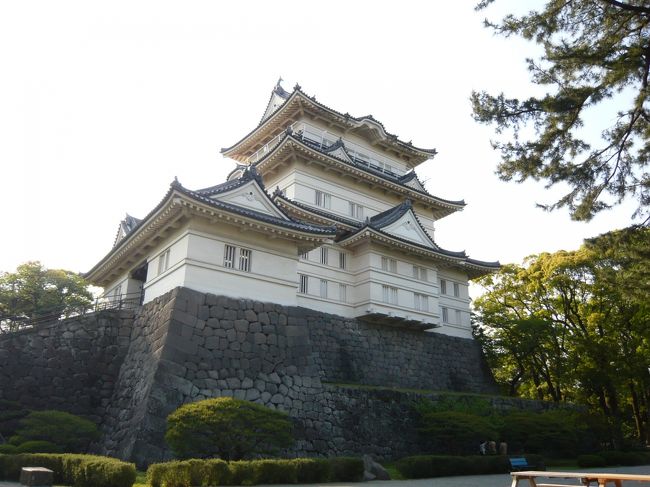 箱根からの帰り道、小田原城の開館時間に間に合いそうだったので<br />見学してきました。