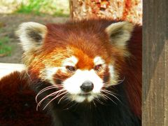 ２日目・行って来ました動物園