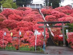 天王つつじまつり（七戸町）