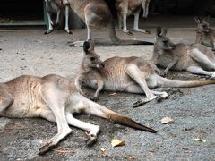 ポートダグラスの旅行記