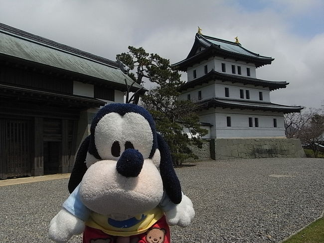 グーちゃんだよ。<br />今日は函館からプチ旅行！<br />函館バスで３時間かけて<br />桜の名所「松前」を目指すよ。<br />桜はどうなの？？<br />