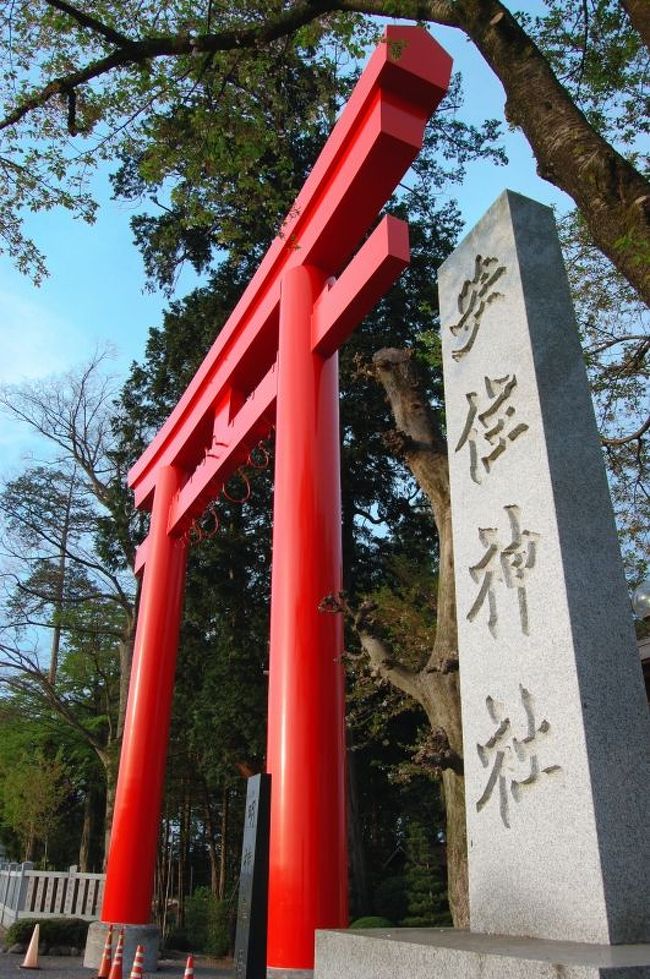 塩谷郡高根沢町にある、関東一の大鳥居を持つ神社です。<br /><br />創立は平安時代初期の８９９年に新井吉明が大阪・住吉大社の大神をこの地へ祀ったものとされています。主祭神は「底筒男命」「中筒男命」「表筒男命」「神功皇后」の四神。本社は、維新前正一位安住大明神という名前でしたが明治６年に安住神社と改称されました。本殿は宝暦４年頃の物だそうです。<br />　<br />ここの大鳥居は朱色の鳥居としては関東最大を誇る物です。残念ながら、しめ縄が外されていました。神楽殿に置いてありましたので、メンテナンス中だったんでしょうか(^▽^;)。。。とはいえ、夕日に照らされ<br />て綺麗でした。<br />　<br />実際の参道は南側にあります（大鳥居は西向き）。この神社でもうひとつ凄いのが神門内にある黄金の狛犬。平成２年に、安住神社の創立１１００周年を記念して氏子さんに神門と共に贈られたものです。作者は長崎の平和記念像を造った北村西望氏だそうです。ブロンズ像の金箔張りです。<br />　<br />本殿自体は大きくはありませんが、古くから安産・学業を中心に信仰されて、多くの地元の方が訪れる場所でもあります。また、主祭神の３人が祓いの神でもあります。自分も厄除けの際にはこちらの神社にてとり行って頂きました。<br />