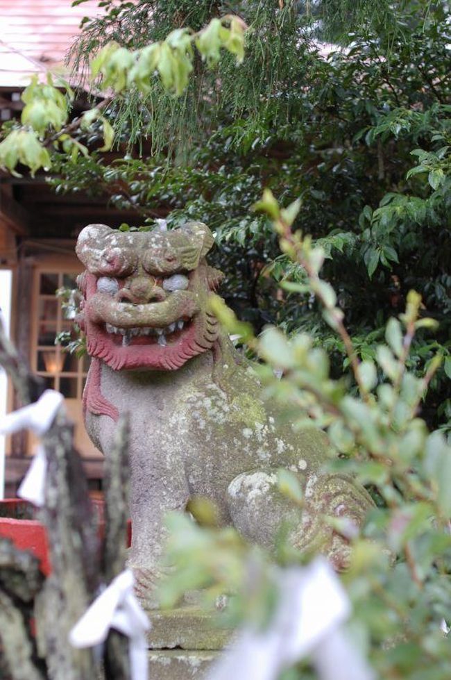 ちょっと前に、芳賀にある天満宮で毎月25日に縁日を開いているとの話を聞きました。それで、夕方に行ってみる事にしました。<br />　<br />芳賀の天満宮は国道123号線沿いに一の鳥居があります。それを目印に細い道に入ると山を登った所に駐車場があります。本殿の鳥居前には石段があって麓から登るようになっていますが雨の日は危ないです(´▽｀A``、参道脇にはアジサイが植えられており6月下旬にはあじさいまつりが催されるようです。<br /><br />ここは学問の神様、菅原道真公を祀る場所です。ここの天満宮は鎌倉時代の貞永２年に創建されたと言われています。創建時代は山城の国の天満宮をかたどり「北原天神」と呼ばれていましたが、明治維新以降は天満宮と改称しています。<br /><br />ということで、行ったはいいものの。。。誰もいません(;´▽｀A``<br />社務所にも人がいなかったので、お参りしてから境内をちょこまか。縁日は昼間にやるのかそれとも雨天延期か。。。気になりました(^▽^;)<br /><br />境内は庭園のようになっています。綺麗に手入れされていて、雨模様もありますが非常にしっとりとした趣のある場所です。<br /><br />ツツジの蕾が多くあって、もう少したてば満開になることと思います。