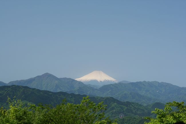 御嶽山に行ったら急に高尾山が恋しくなって間を空けず早朝出発しました。<br />しばらく続いた雨が上がり、久しぶりの快晴となり森林浴と富士山の写真が撮れて満足です。