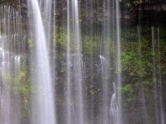車で静岡 ★富士宮 2 朝の白糸の滝 飛沫の雨が降る