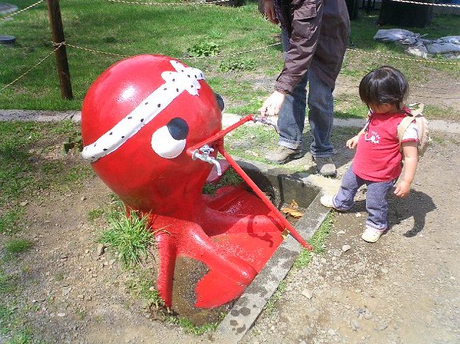 娘が2歳の誕生日を迎え、海外航空運賃は座席確保料金(=高い)になり、飛行機はしばらく乗らないかなと思っていたところ、国内だったら3歳までは無料と判明!急遽調べたらGWでもかなり安く旅行できると知り、程なく予約。8月に娘と2人で行ったばかりの札幌ですが、旭山動物園にいきたかったのと、乳製品や海産物がおいしかったのでまた食べたかったのと、友達に会えるのと、そして夫は北海道未踏だったこともあってすんなり決まりました。そういえば、妊娠8ヶ月でした。
