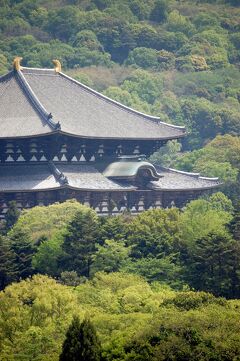 久しぶりの奈良(1)羽田空港から伊丹に入り、新緑の奈良公園を散策して東大寺の聖武天皇祭を楽しむ。