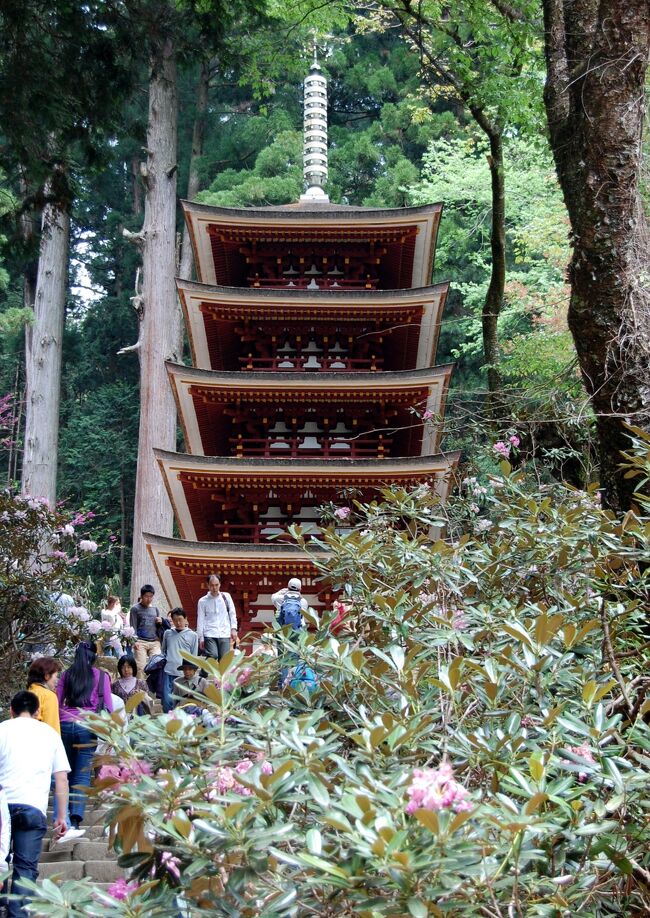 久しぶりの奈良(3)45年振りの室生寺を参拝して長谷寺の牡丹を楽しみ、そのまま山辺の道を歩く。