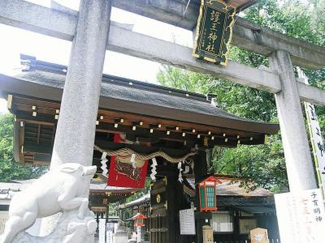 用事で京都市内へ出かけたので、空いた時間にあちこち散策しました。<br />その時、護王神社という神社と出会いました。。。<br /><br />護王(ごおう)神社は和気清麻呂公命(わけのきよまろこうのみこと)と <br />姉である和気広虫姫命(わけのひろむしひめのみこと)を主祭神としている神社です。<br /> <br />京都御所の西側、地下鉄の丸太町から歩いて５分くらいのところにあります。<br /> <br />小さな神社ですが、こちらには清麻呂公の逸話から狛犬ならぬ狛猪がおり、 <br />境内のあちらこちらにも、いのししが配されていています。<br /> <br />その逸話から足と腰の守護神としてお参りする人も多くいらしゃるそうです。<br /> <br />また「君が代」で詠われている大きなさざれ石が置かれていたりと見ごたえがある神社でした。