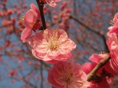 常磐ドライブの旅～水戸・袋田編～