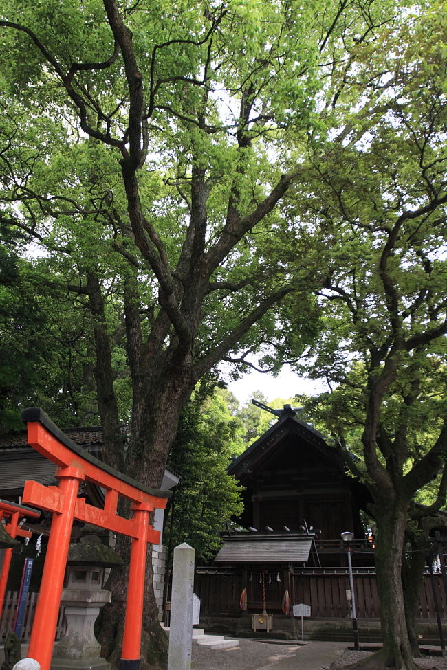 御朱印帳集めの旅、第3弾、宇都宮は二荒山神社にいってきました。<br /><br />●地図はこちら<br />http://maps.google.co.jp/maps/mm?q=%E6%A0%83%E6%9C%A8%E3%80%80%E9%B9%BF%E6%B2%BC&amp;sourceid=navclient-ff&amp;ie=UTF8&amp;split=0&amp;gl=jp&amp;ei=BF0VSr_FO6jm6gOLrc2yCg&amp;hl=ja&amp;ll=36.562518,139.885789&amp;spn=0.00349,0.005289&amp;z=18<br /><br />