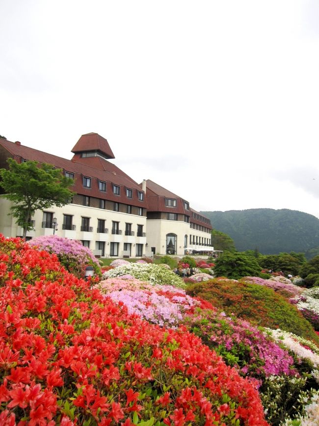 ５月の箱根は、新緑と花の季節。<br /><br />芦ノ湖畔にある「山のホテル」はこの時期、<br />ツツジの名所になります。<br /><br />大きなツツジに囲まれたこのホテルは、<br />この時だけは「花のホテル」と言いたいところです。<br /><br />(庭園の奥には、シャクナゲ園もあります）<br />NO.２で紹介しています。<br /><br /><br /><br /><br /><br /><br />