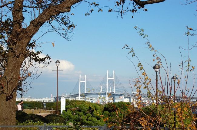 港の見える丘公園は、はるか昔行った事があると思うが、横浜港はみなとみらい地区の開発でだいぶ景色も変ってきている。港を見ることが出来るだけの公園と思っていたが、昔と比べていろいろと見るところが増えてきており、新しい発見が沢山あった。期待の横浜港のパノラマは大型船など見られなかったが、横浜ベイブリッジは良く見えた。夜景は綺麗だろうな。近くの外国人墓地や元町までも少し足を伸ばしてみた。