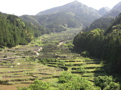 鳳来町　千枚田