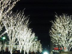 京都五条 ☆ ロームのクリスマスイルミネーション ☆
