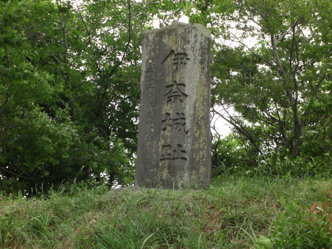 　享禄二年（１５２９）岡崎城主・松平清康（徳川家康の祖父）が吉田城（豊橋市）を攻めた時、当時の伊奈城主・本多正忠は清康軍に参加し、先陣をきって東門を破り城を攻め落とした。正忠は清康を伊奈城に招いて凱旋の祝宴を開き、城内の花ヶ池にあった水葵の葉を敷いて酒肴を出したところ、清康は大そう喜び、「立葵は正忠の家の紋なり、此度の戦に、正忠最初に御方参て、勝軍しつ、吉例也、賜らんと仰ありて、これより御家紋とはなされたり。」（藩翰譜・新井白石編）<br />　この記述を裏付けるように、岡崎市の随念寺に残されている清康の肖像画には、「立葵の紋」が描かれている。<br />　このように、本多家から松平家の家紋となった「立葵の紋」が、徳川家康の代に「三つ葉葵の紋」となったと伝えられている。