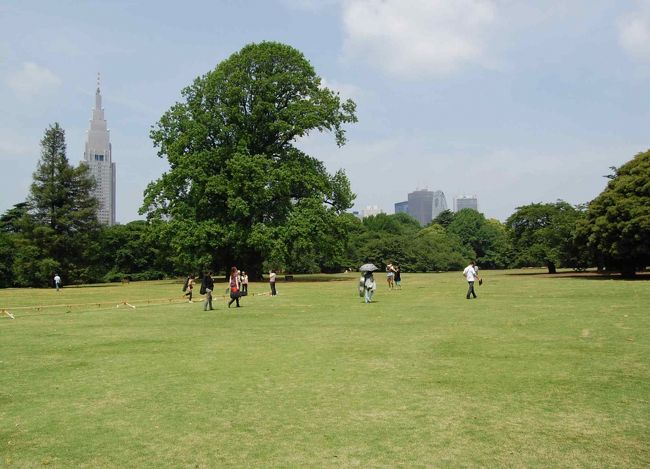 仕事が休みの日、朝っぱらから新宿御苑で心をリフレッシュ。<br /><br />そして、神宮球場で野球観戦。<br />大学野球は、あまり見たこと無いけれど、なんかはまりそうです。<br />最近、野球旅行記が多いですが、何か問題でも?<br />野球ネタは、他に書くので、この4トラベルさんでは、軽く書きます。<br /><br />重い方は、こちらでどうぞ。<br />↓<br /><br />・野球好きが語りたい<br />http://www.plus-blog.sportsnavi.com/chifu/article/293<br />http://www.plus-blog.sportsnavi.com/chifu/article/294<br /><br />・野球の写真を上手に撮る!<br />http://chifu19.bob.buttobi.net/<br /><br />・松本幸一郎(立教大学)<br />http://picasaweb.google.co.jp/chifu19/POUjbH#<br /><br /><br />