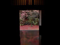 京都めぐり?★実相院・蓮華寺