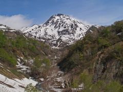 新緑と残雪のハイキング！新潟焼山へ！