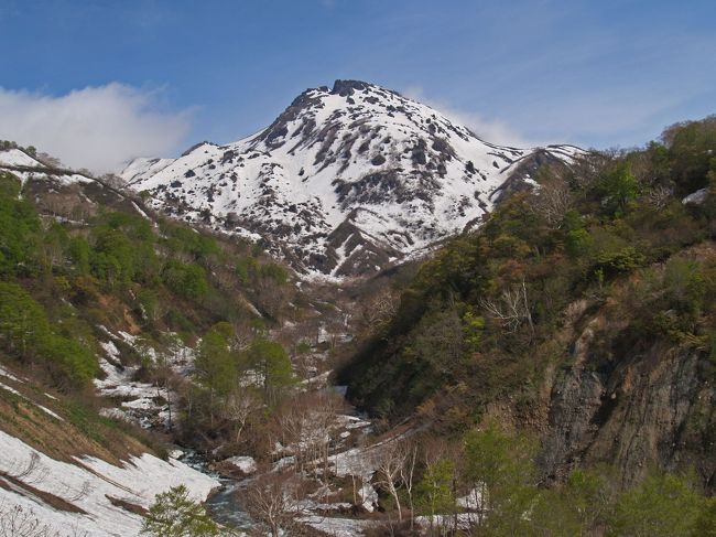 　新潟県頚城山系にある新潟焼山（２４００ｍ）は日本三百名山に指定されている活火山です。<br /><br />　この山は２００６年の１２月まで火山活動のために立ち入り禁止にされていたことから、近年はすっかり訪れる人が少なくなったようです。<br />　そして、金山沢付近における登山道の崩壊が著しいことから、これからも新潟焼山への一般的な登山道となることはなさそうです。ただ、裏を返せば、ある程度実力のある登山者であれば、新潟焼山というすばらしい名山を独り占めできるということでもあります。<br /><br />　新緑眩しい２００９年５月２３日。この忘れられた（？）名山にハイキングに出かけましたので、報告します。<br /><br />＊残雪期に笹ヶ峰から新潟焼山に登る方へのアドバイス<br /><br />１　金山谷、裏金山谷、地獄谷では渡渉が必要になる可能性があります。靴下の替えを持参した方が良いでしょう。<br /><br />２　金山谷から裏金山谷の間では崩壊地の通過があり、怖いトラバースを強いられることがあります。初心者が同行される場合は補助ロープを持参したほうが良いでしょう。<br /><br />３　頂上付近の地形は複雑で、道もはっきりしません。ガスが出ている場合は赤布を使用したほうが無難です。<br /><br />　<br /><br />