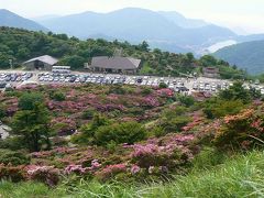 雲仙地獄と雲仙ツツジ