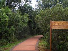 アルゼンチン《イグアス編その１》