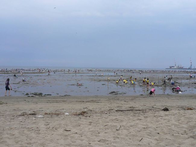 御殿場海水浴場で潮干狩り。<br /><br />朝5時過ぎに大阪を出発して、<br />6時までに西名阪の松原と天理の料金所を過ぎると<br />ここまででETC割引で半額の400円に。<br /><br />そこからひたすら名阪国道を走り、亀山ICで降りる。<br />津をめがけて走っていき、<br />国道23号のマクドで休憩がてらゆったりと朝マック。<br /><br />なぜかここのマクド、ドライブスルー大渋滞。<br />なんでやねんっ。<br /><br />若干わかりにくい場所にある御殿場海水浴場へ<br />到着したのは、朝の8時前でした。<br /><br />ここは市がしてる無料駐車場と<br />民間がしている有料駐車場が入り乱れていて<br />客引きに吸い込まれていくと、<br />駐車料金1000円徴収されるハメに。<br />無料駐車場は台数が限られているので、<br />早い目の到着をお勧めします。<br />