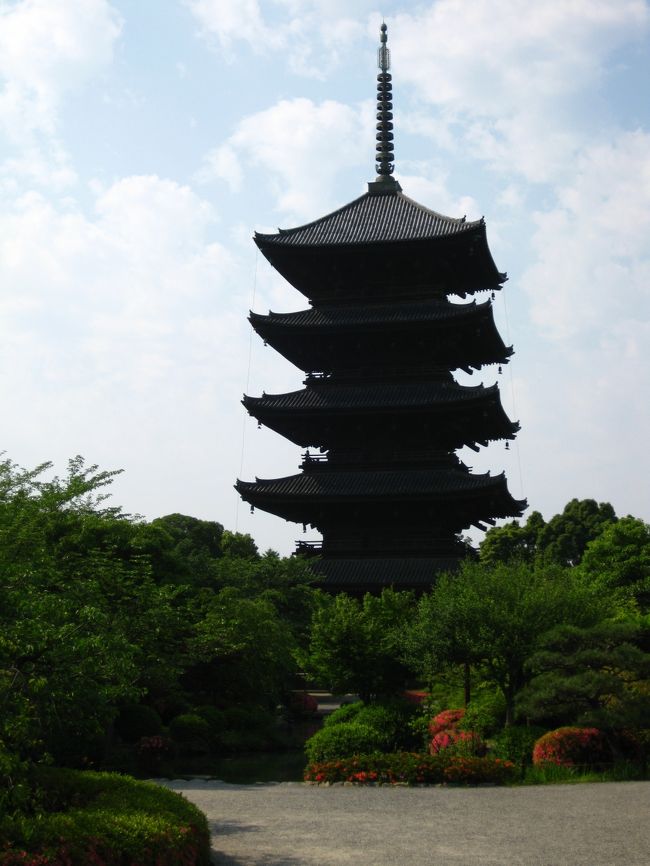出張で京都に行ってきました。<br />大学生活を過ごした思い出の地への凱旋。<br />大学時代に行きそびれた京都駅周辺をちょっと散策です。