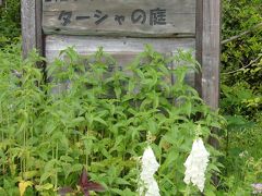 日本で紹介された”ターシャの庭”