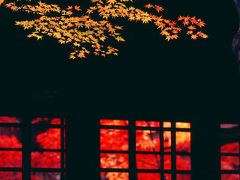 紅葉の本土寺
