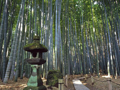 鎌倉・報国寺