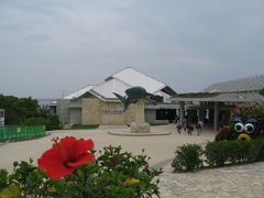 ２００９沖縄旅行２日目　美ら海水族館