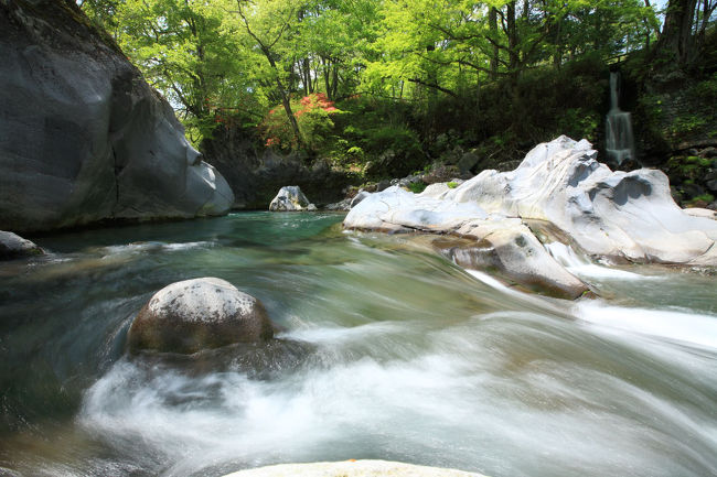 撮影5月9,10日<br />憾満ガ淵は男体山-なんたいさん-から噴出した溶岩によってできた奇勝で、川岸に巨岩があって荒々しい川の流れと新緑のコントラストが見事です。<br />この時期はつつじも咲いておりのんびり散策するにはオススメデス。<br />撮影機材　キャノンEOS5D