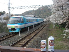 2009.04.08山中渓駅で花見+鉄分吸収