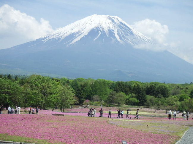 「富士山と芝桜」のツーショットを見て、甲府・湯村温泉で、の～～んびり～～してきました。<br /><br />お泊りは、日本庭園が美しい「甲府の迎賓館」と言われる「Tホテル」～～♪<br />交通量の多い道路に面して建っているのですが、一歩中に入ると、そんな喧騒はどこへ？と思う「静かな」ホテルです。<br /><br />私が泊まったのは「情緒豊かな」離れ家～～♪<br />かけ流しの露天風呂つきのお部屋で、温泉三昧～～♪<br />おいしいお食事にも大満足の二泊でした～～♪<br /><br />詳細は、↓こちらでどうぞ～～・<br />http://haru3.blog.ocn.ne.jp/love/2009/05/post_8698.html