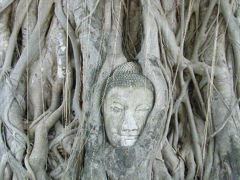 バンコク４日目・その１アユタヤ