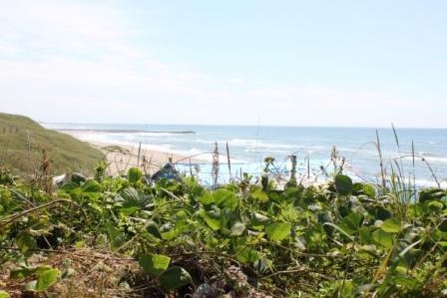 週末　石川県にある　辰口温泉に行ってきました。半分仕事で半分遊び。<br />なぜ、加賀温泉や和倉温泉ではないのかというと、知り合い会社の社長さんが、以前その方もここに訪れた時にここのお風呂（露天風呂が、昔懐かし、田んぼの風景です何とも良いという話を延々聞かされたことで、石川県に行く用事があったのでここに泊ることにしました。<br /><br />辰口温泉　　たがわ龍泉閣　　なんですが。<br />まあ　チェックインやら　仲居さんと期待感高まるお風呂（露天風呂）の話で着くなりから、風呂のことしか頭になく、社長は夕暮れ時と、真っ暗になった夜がすごく良いと言っていましたことを思い出して、それらの時間にはまだ時間ががありましたが、早速入ることにしました。<br />入った瞬間、目に映ったシーンが社長が言っていた内容そのもので何とも素晴らし光景でありました。<br /><br />夕暮れ時にまた入りに行って<br />また夜更時にはランプの灯とスポットライトも格別でした（22時で露天は終りです、朝やっていません）<br /><br />まあ、お風呂以外にも温泉旅館としてはかなりの満足度で<br />非常に満足を得た温泉旅館でした。あとでいろんなサイト見ましたが露天風呂の口コミはかなり良い評価が書かれていました。書きたい気持ちもわかる　それほどまでの露天風呂でした。<br /><br />それと　石川のサーファーがあつまる。内灘海岸にある権現の森です。