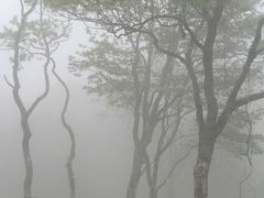 ひとり旅 ［530] 八幡高原へ?＜八幡湿原 豊かな自然＞広島県北広島町