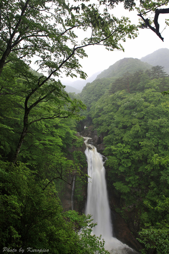 秋保大滝（あきうおおたき）は日本の滝百選に選定されてる、<br />宮城、いや東北地方の名瀑です。<br /><br />那智の滝、華厳の滝次ぐ日本三名瀑に挙げられることもあるが、<br />実際には茨城県の袋田の滝とされる場合が殆どである。<br /><br />落差５５ｍ。<br /><br />二度目の訪問ではありますが、今回は雨ということもあって水量は豊富。<br /><br />現在、滝壺へ行く遊歩道が落石、そして路肩の崩落により通行止めです。<br /><br />