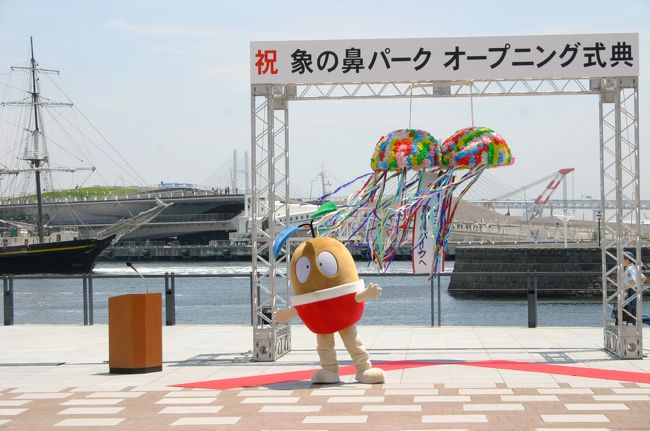 ６月２日は、開港記念日。今年は、開港してから１５０年目の記念の年です。<br />ということで「象の鼻パーク」オープニング式典に行ってきました。 ここの整備は、開港150周年の記念事業としてはメインとなるものです。 <br /><br />横浜市歌斉唱からはじまり、 <br />中田市長をはじめ、いろんな方が祝辞を述べられてました。 <br />最後にくす玉を割って式が終了しました。<br /> <br />12時から一般開放され、いろんなイベントが行われていました。 <br />像の鼻テラスで、久しぶりな方に会ってちょっとびっくり。