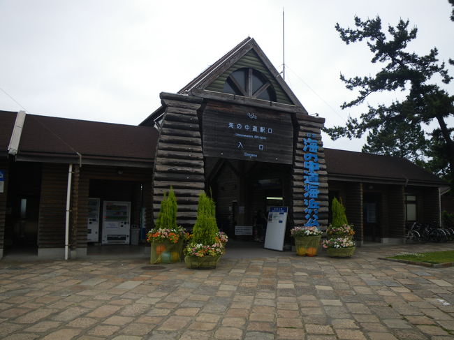 この日は、水族館へ向かいました。<br />旅行先に水族館があるときは、必ずその地域の水族館へ行くので福岡の海の中水族館にも足を運びました。<br />あいにく、天気も悪く肌寒かったせいか人が少なく、ちょっと寂しい感じに感じられましたが、それなりに楽しめてよかったです。<br /><br />のんびり水族館で時間を費やし、海の中駅〜博多の在来線で博多まで帰ってきました。<br />ちなみに・・・こちらの博多〜小倉間の在来線もパスでは乗れませんので、水族館へ行かれる方は、JRのお得切符か西鉄のお得切符を購入されるといいかと思います。<br /><br />博多から地下鉄にて天神へ向かいました。そう、博多と言えばラーメンなのに、まだラーメンを食べていなかったのです。豚骨ラーメンなので、地下街にはないだろうとのことで地上にでて探すものの、なかなかめぼしいところがわからず、通りの奥に行列のできているラーメン屋を発見、早速らーめんにありつけました。<br /><br />関西でも、ラーメンは豚骨ベースのらーめんが多いため、あまり新鮮みがないかなぁと思いながら食べたのですが、やっぱり本場は違いました。<br />豚骨ベースなのですが、意外とあっさりしていて、鰹かなにかの魚系の味が奥深くにあるような味わいのらーめんでした。<br />おいしかったです。<br /><br />晩ご飯は、昼の食べたラーメンの時間が微妙におそかったため、またもや屋台に行かず、デパ地下でこのあたりでしか食べられないものを買い込みホテルでつついて食べました。<br /><br />