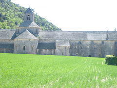 南仏プロヴァンスラベンダー情報とセナンク修道院