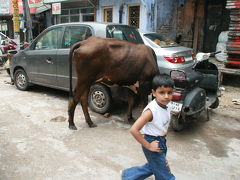 インドへ?デリー