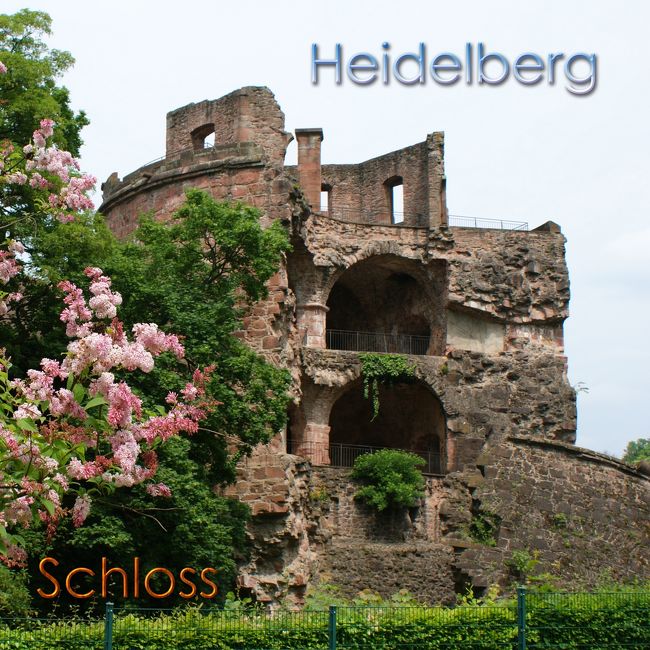 ５月９日の午前中にお城を見学。<br /><br />その後山頂にも行き、ハイデルベルグの街を展望。