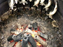 ０１．伊豆の自然と触れ合う１泊旅行　中伊豆養魚センターのイワナ釣り 釣った岩魚はその場で焼いて頂きます