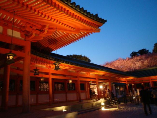 京都府立植物園と平安神宮の桜を楽しんできました。<br />平安神宮では夜間ライトアップ＆コンサートという催しでこの世のものとは思えない幻想的な景色に出会うことができました。