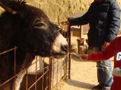 渋川動物公園…うさぎさんにショック