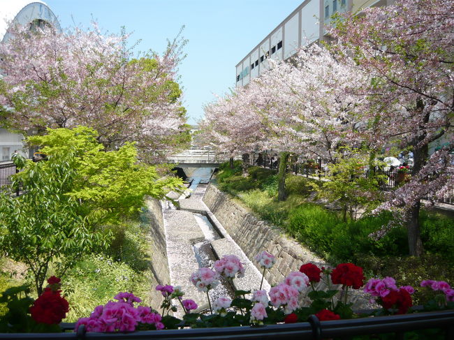 つかしん天然温泉湯の華廊を利用しました。ちょっとした桜の見所になっているので、桜の季節に来る事が多いです。街中で非常に便利な所にあるのに泉質がとてもよいためとても便利で人気が高いです。